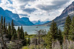 Wild Goose Island Viewpoint Going to the Sun Road Top 16 Tips for Driving Going to the Sun Road Glacier National Park