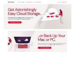 Backblaze Cloud Backup System Saved My Life